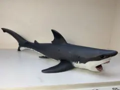 Item thumbnail for item a17076a3-367b-483d-a99f-bccce2b95f63