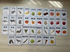 幼児教室　ベビーパーク　オリジナルピクチャー　ブックレット　果物　野菜　魚　動物