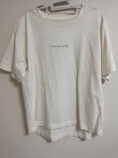 Item thumbnail for item 12c28321-677c-4a4f-aa54-49559f503ec5