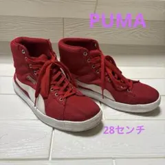 Item thumbnail for item 71173468-7d35-4ced-b17d-f68bd39649d0