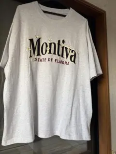 ビッグロゴデイジーTシャツ刺繍ロゴTシャツ/ビッグシルエットTシャツ