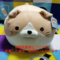 新品 ごろねこサミット 第14回おうち代表ねこ会議 ジャクソンのサムネイル