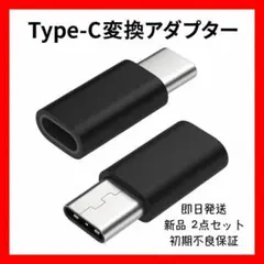新品・未使用 Lighting to Type-C変換アダプター 黒