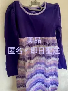 Item thumbnail for item 12383552-d20c-4848-807e-efbc08e14ab2