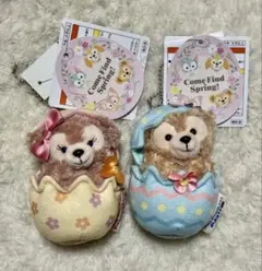 カムファインドスプリング