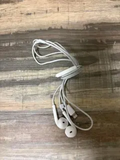 ホワイト 有線イヤホン 純正Lightning接続