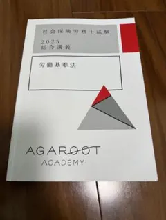 アガルート労働法 Amazon.co.jp: アガルートの司法試験 予備試験総合講義1問1答