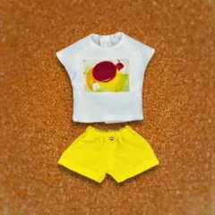 リカちゃん 服 着せ替えセット ネオブライス　8