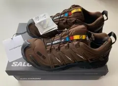 SALOMON and wander XA PRO 3D GTX 28cmのサムネイル