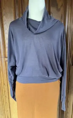 Item thumbnail for item 61a78a5c-2098-471a-ae5c-e830a17729bd