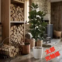 光触媒 人工観葉植物 ウォールグリーン フェイクグリーン チェリー