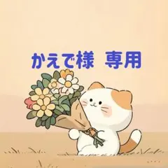 かえで様　専用(12/13迄)
