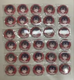 カラフルピーチ ゆあん 缶バッチ 直筆、ぱらぴち、ダイナー 30点