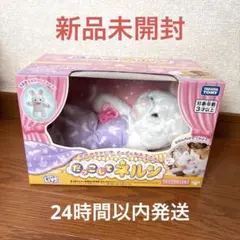 Item thumbnail for item 20904bfa-c937-45a9-9aa1-a4f0cf7f7614