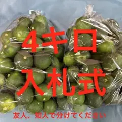 ハウススダチ　家庭用　4キロ 入札式のサムネイル
