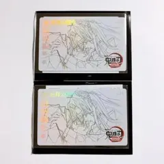 鬼滅の刃 胡蝶しのぶ 胡蝶カナエ ムービーチケット風カード ムビチケ風カード