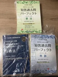 2冊2022辰巳実務基礎基本講義レジュメ原孝至 司法試験ハンドブック 趣旨・規範ハンドブック 司法試験 予備試験ロー