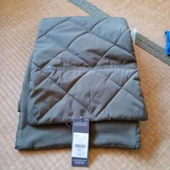 Item thumbnail for item 668932f5-04ab-492f-940d-42236e841864