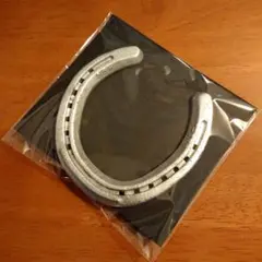 【本物の蹄鉄】馬蹄