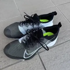 アルファフライネクスト%