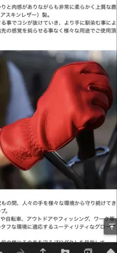 Lampglovesランプグローブス グレージュメッシュグローブ山田レン着用