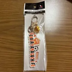 レノファ山口 レイヤードアクリルキーホルダー