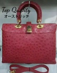 最高級オーストリッチ　ツーウェイバック【イタリア製品】