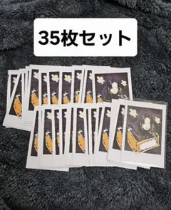 &TEAM FUMA フウマ BacktoLife mini インスタント