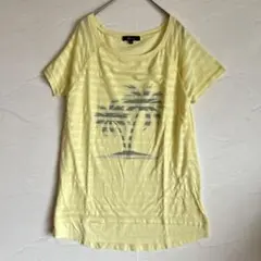 ピンキー＆ダイアン ＆byP&D Tシャツ イエロー やしの木 ボーダー 38のサムネイル