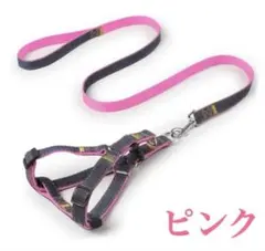 Item thumbnail for item 8b34ddd4-1dd0-4c14-9dbe-fd6095d990ba