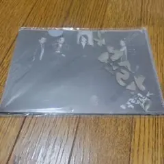 BUCK-TICK クリアケース12枚セット BUCK-TICK 非売品グッズセット クリアファイル カードケース - メルカリ