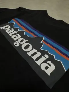 patagonia ロゴTシャツ 黒色サイズS
