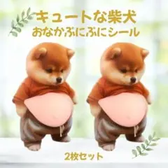 ２枚セット かわいい 柴犬 おなか ぷにぷに 立体 3D もちもちおなか