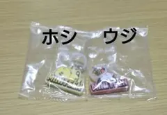 MINITEEN めじるしアクセサリー ガチャガチャ ホシ ウジ