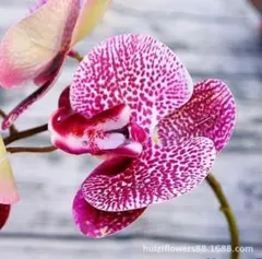 リアル♡アートフラワー 胡蝶蘭♡造花 アーティフィシャル B