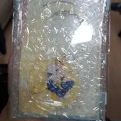 シャルル様専用☆