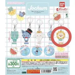 JOCHUMめじるしアクセサリーBiraビラ