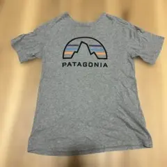 PATAGONIA グレー Tシャツ M