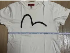ク*中様 EVISU エヴィス カモメロゴ Tシャツ ブルー 大黒44 - メルカリ