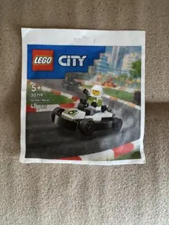 lego city 30719