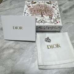 DIOR CD NAVY スタッドピアス（片耳）ディオールピアス