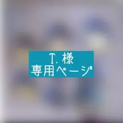 T. 様　専用ページ