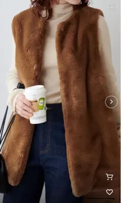 Discoat ブラウン ファーベスト