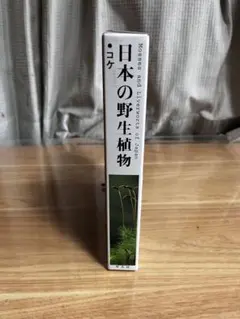 2026年最新】岩月善之助の人気アイテム - メルカリ