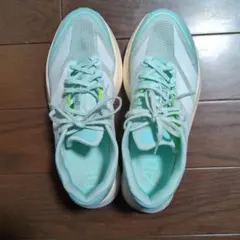 ADIZERO BOSTON13 25.0cm