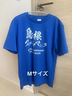 水曜どうでしょう EURO21 Tシャツ 綿100 HTB 大泉洋 - メルカリ