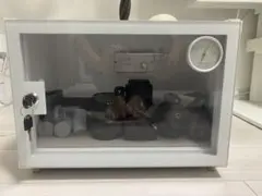 Item thumbnail for item 3e43d03d-6b4f-4265-a56e-fe8038b1ad08