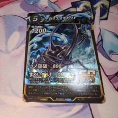 コーカサスオオカブト