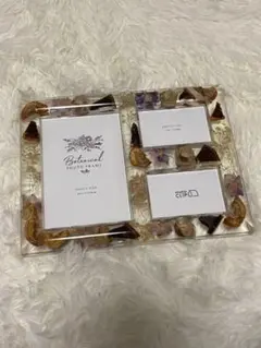 스튜디오 클립 보태니컬 포토 프레임