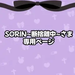 SORIN~断捨離中~さま専用
